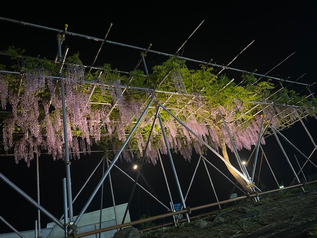 施設