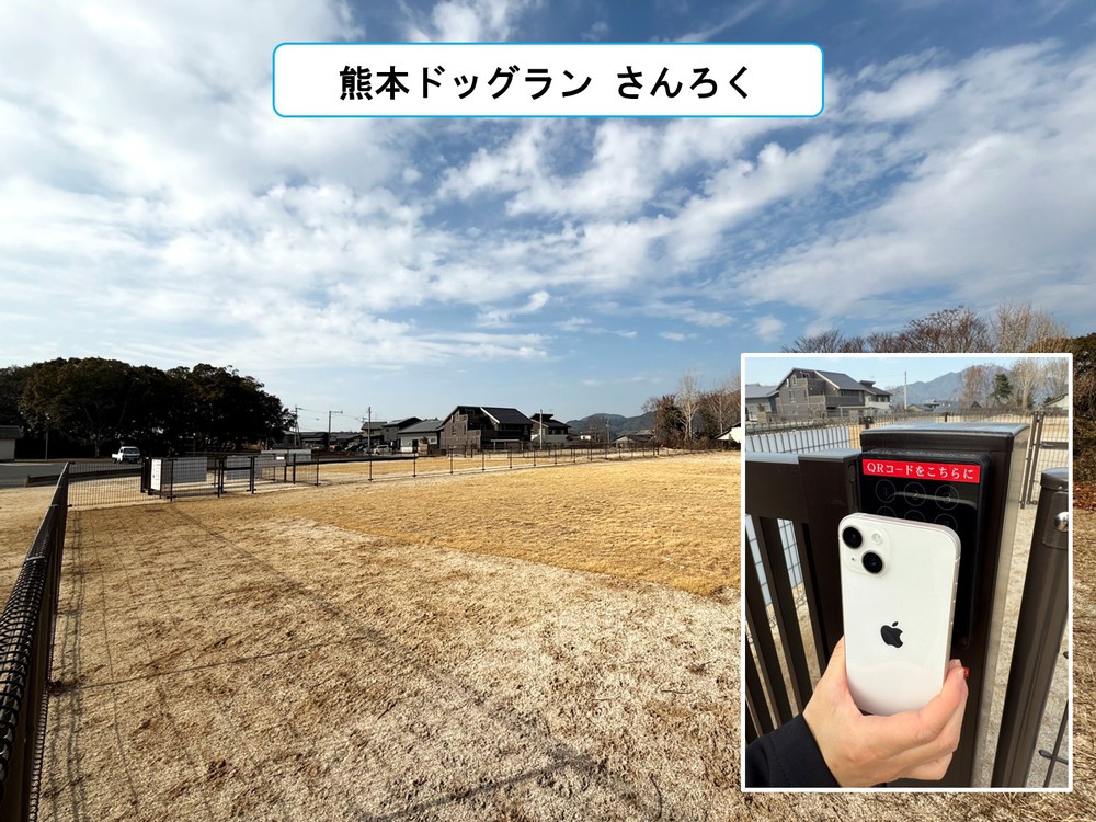 ペット