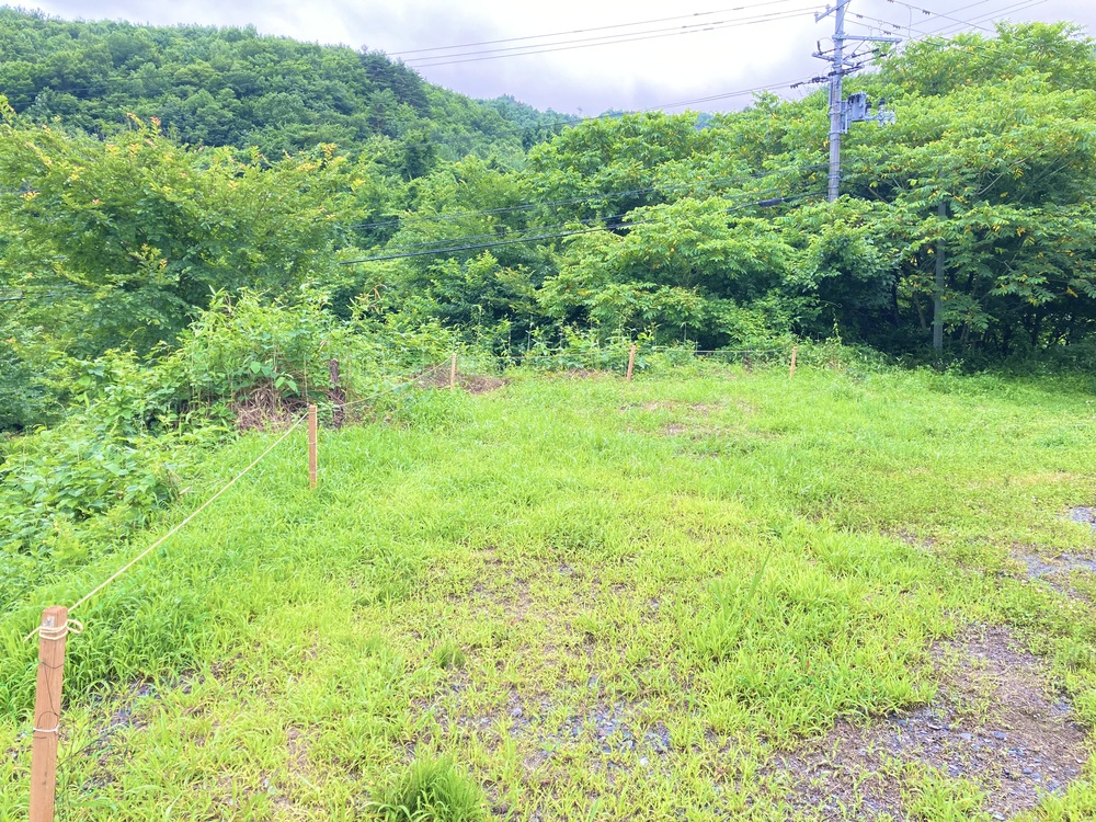 長者民パーク写真