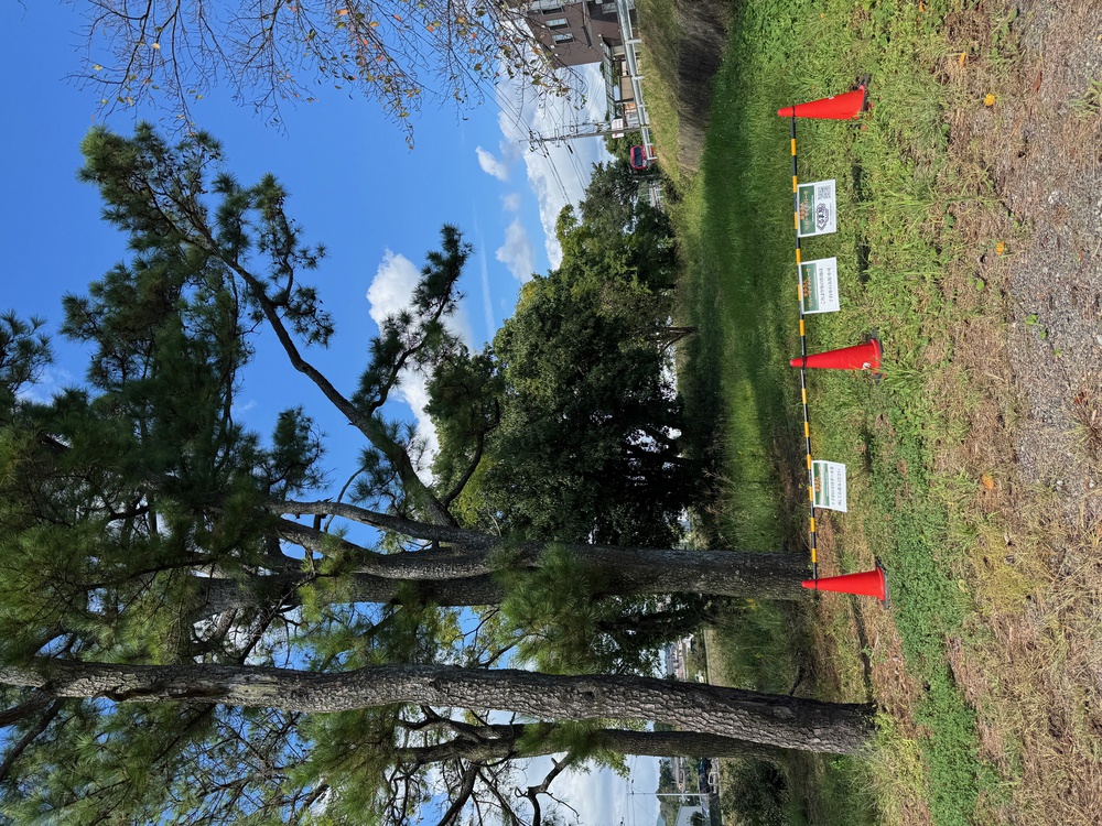 くるま旅パーク　まるきんパーク写真