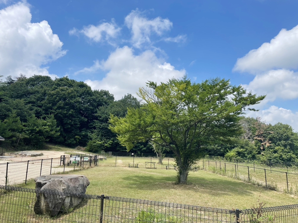 施設