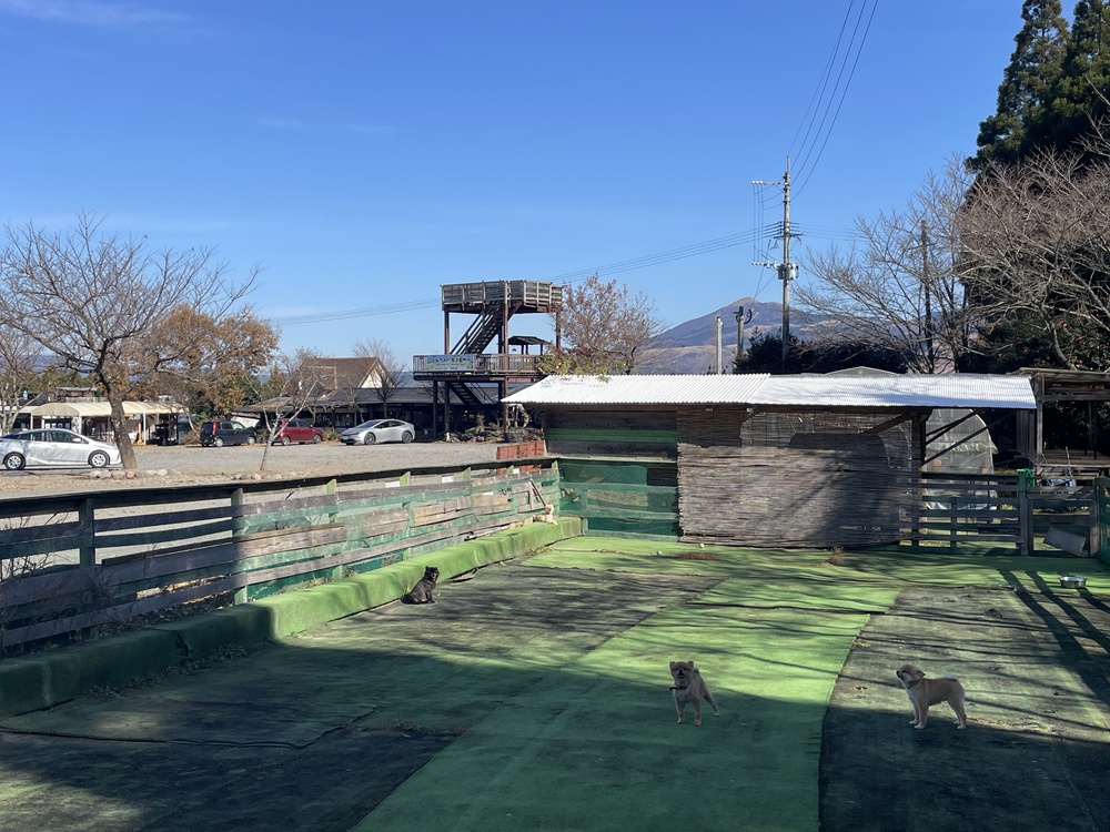 施設