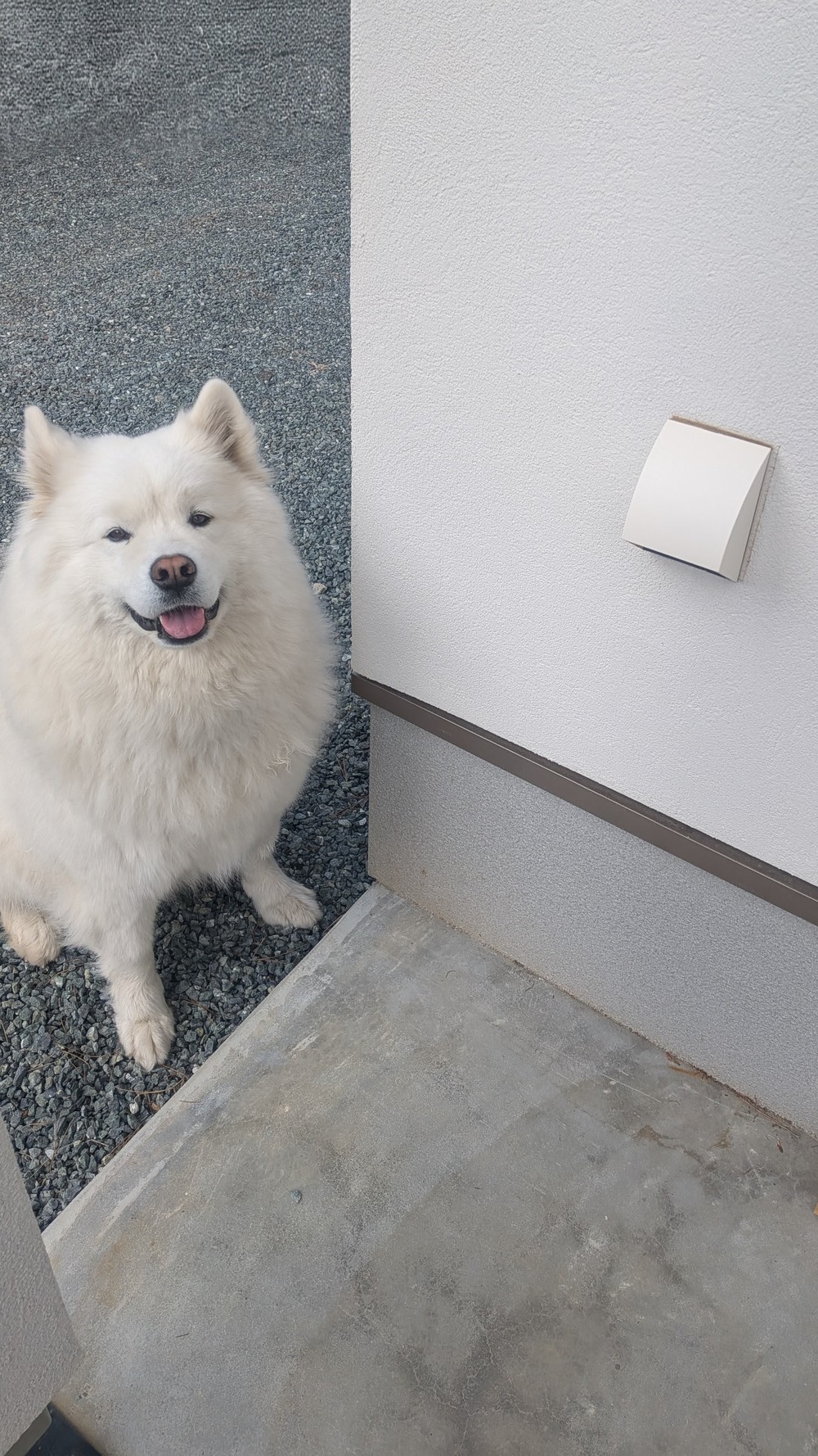 電源