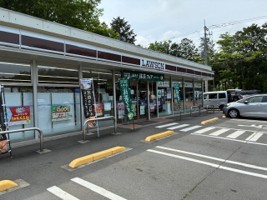 コンビニRVパーク ローソン小山町わさび平(おやまちょうわさびだいら)店
