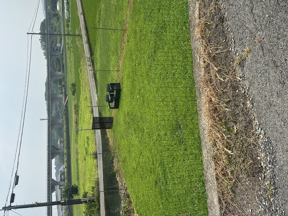 ペット