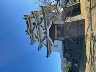 帰郷したみたいの写真