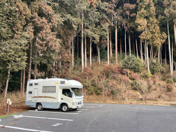 いい！すごくいい！の写真